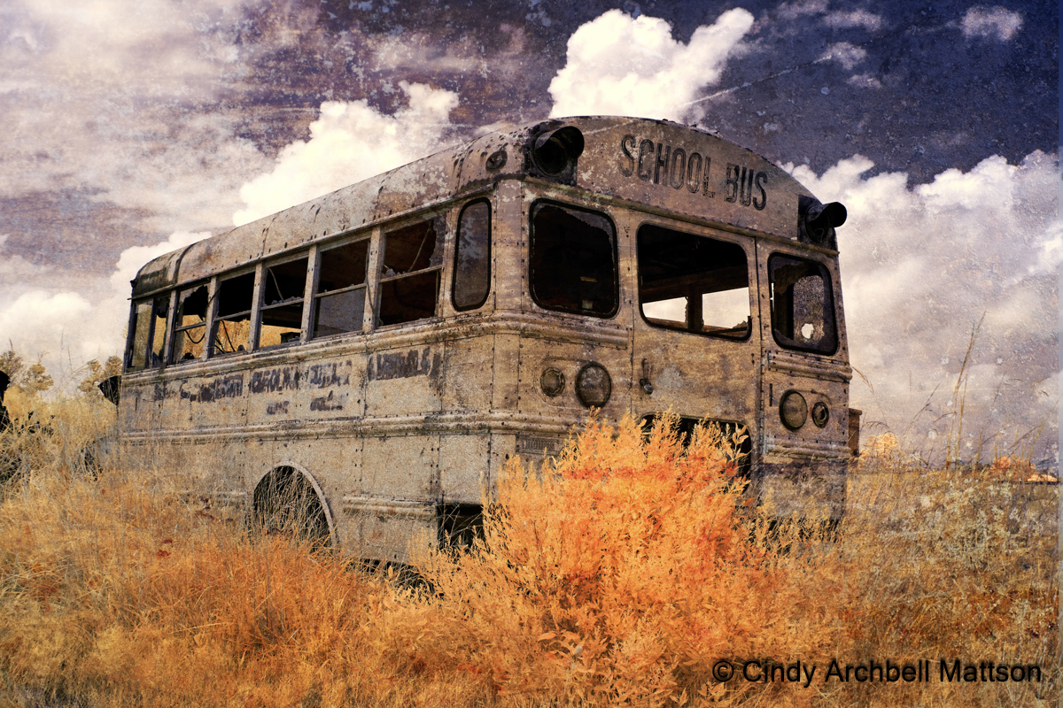The Bus To No Where