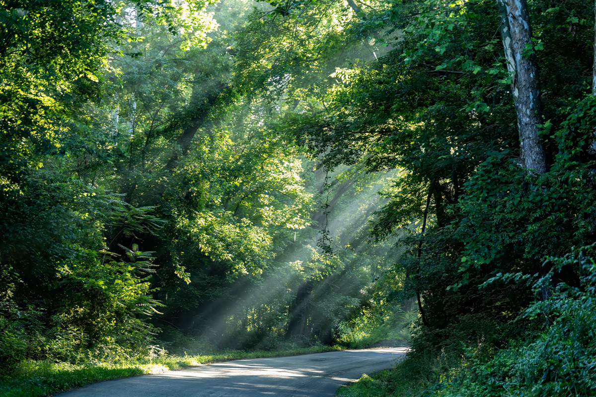 Rays of Light
